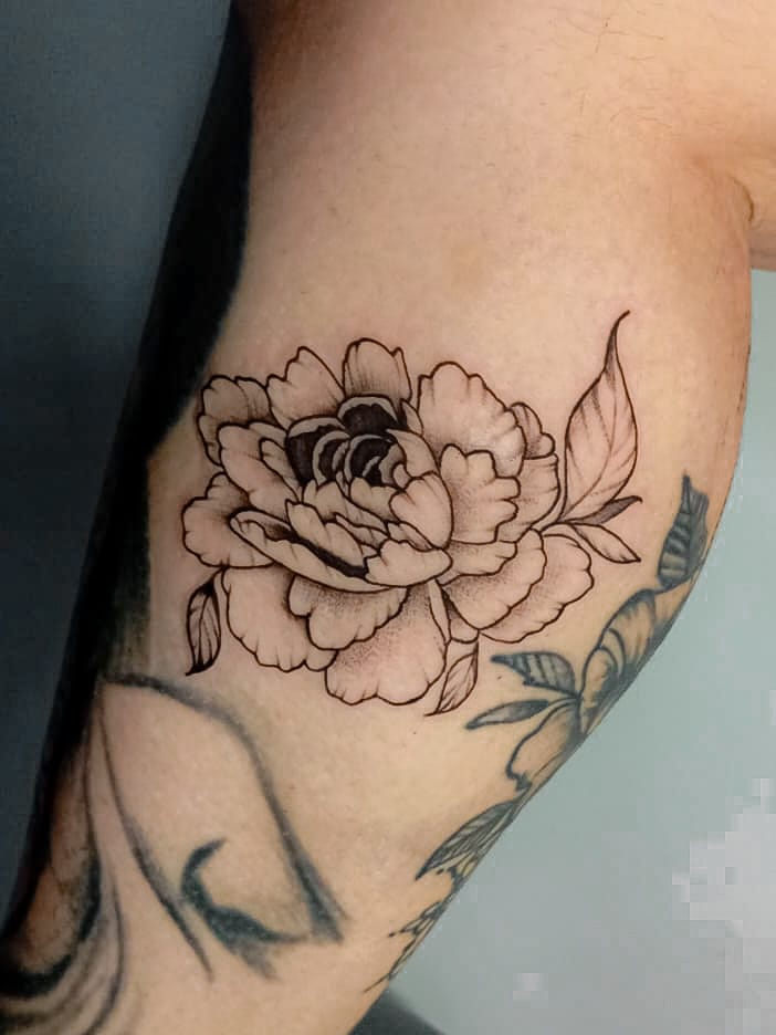 Projeto 1