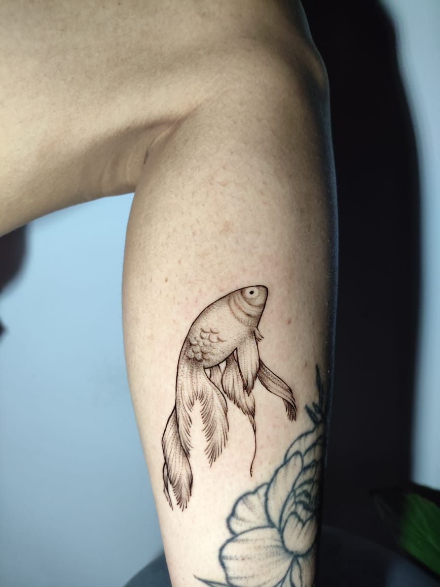 Projeto 2